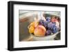 Washing Plums, Peaches and Apricots-Eising Studio - Food Photo and Video-Framed Photographic Print