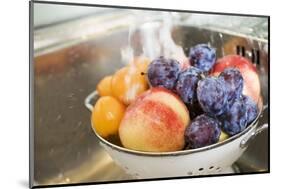 Washing Plums, Peaches and Apricots-Eising Studio - Food Photo and Video-Mounted Photographic Print