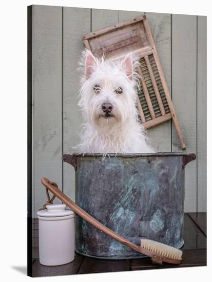 Washing the Dog-Edward M. Fielding-Stretched Canvas