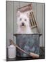 Washing the Dog-Edward M. Fielding-Mounted Photographic Print