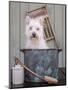 Washing the Dog-Edward M. Fielding-Mounted Photographic Print