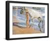 Washing the Horse, 1909-Joaquin Sorolla y Bastida-Framed Giclee Print