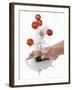 Washing Tiger Tomatoes in a Colander-Kröger & Gross-Framed Photographic Print