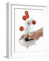 Washing Tiger Tomatoes in a Colander-Kröger & Gross-Framed Photographic Print