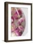 Washing Turnips-Foodcollection-Framed Photographic Print