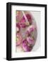 Washing Turnips-Foodcollection-Framed Photographic Print