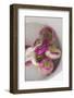 Washing Turnips-Foodcollection-Framed Photographic Print