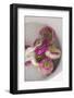 Washing Turnips-Foodcollection-Framed Photographic Print