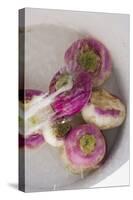 Washing Turnips-Foodcollection-Stretched Canvas