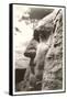 Washingiton's Profile, Mt. Rushmore-null-Framed Stretched Canvas