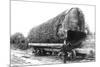Washington - A Huge Tree Log Ready to be Shipped-Lantern Press-Mounted Premium Giclee Print