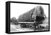 Washington - A Huge Tree Log Ready to be Shipped-Lantern Press-Framed Stretched Canvas