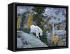 Washington, Adult Mountain Goat Steps Down a Rock Face in the Alpine Lakes Wilderness-Gary Luhm-Framed Stretched Canvas
