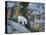 Washington, Adult Mountain Goat Steps Down a Rock Face in the Alpine Lakes Wilderness-Gary Luhm-Stretched Canvas