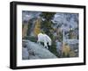 Washington, Adult Mountain Goat Steps Down a Rock Face in the Alpine Lakes Wilderness-Gary Luhm-Framed Photographic Print