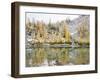 Washington, Alpine Lakes Wilderness. Enchantment Lakes, larch trees reflected in Leprechaun Lake-Jamie & Judy Wild-Framed Photographic Print