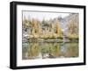 Washington, Alpine Lakes Wilderness. Enchantment Lakes, larch trees reflected in Leprechaun Lake-Jamie & Judy Wild-Framed Photographic Print