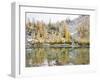 Washington, Alpine Lakes Wilderness. Enchantment Lakes, larch trees reflected in Leprechaun Lake-Jamie & Judy Wild-Framed Photographic Print