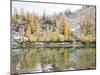 Washington, Alpine Lakes Wilderness. Enchantment Lakes, larch trees reflected in Leprechaun Lake-Jamie & Judy Wild-Mounted Photographic Print