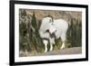 Washington, Alpine Lakes Wilderness, Mountain Goat, Billy Goat-Jamie And Judy Wild-Framed Photographic Print