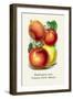 Washington and Granny Smith Apples-null-Framed Art Print