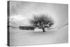 Washington, Apple Tree and Hay Bales in Winter with Storm Clouds-Terry Eggers-Stretched Canvas