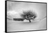 Washington, Apple Tree and Hay Bales in Winter with Storm Clouds-Terry Eggers-Framed Stretched Canvas