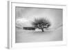 Washington, Apple Tree and Hay Bales in Winter with Storm Clouds-Terry Eggers-Framed Photographic Print