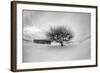 Washington, Apple Tree and Hay Bales in Winter with Storm Clouds-Terry Eggers-Framed Photographic Print