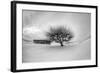 Washington, Apple Tree and Hay Bales in Winter with Storm Clouds-Terry Eggers-Framed Photographic Print