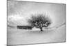 Washington, Apple Tree and Hay Bales in Winter with Storm Clouds-Terry Eggers-Mounted Photographic Print