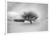 Washington, Apple Tree and Hay Bales in Winter with Storm Clouds-Terry Eggers-Framed Photographic Print