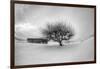 Washington, Apple Tree and Hay Bales in Winter with Storm Clouds-Terry Eggers-Framed Photographic Print