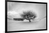 Washington, Apple Tree and Hay Bales in Winter with Storm Clouds-Terry Eggers-Framed Photographic Print