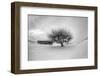 Washington, Apple Tree and Hay Bales in Winter with Storm Clouds-Terry Eggers-Framed Photographic Print