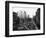 Washington Boulevard, Detroit, 1920-null-Framed Photographic Print