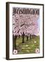 Washington - Cherry Blossoms-Lantern Press-Framed Art Print