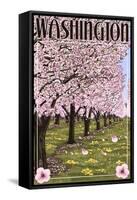 Washington - Cherry Blossoms-Lantern Press-Framed Stretched Canvas