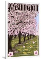 Washington - Cherry Blossoms-Lantern Press-Framed Art Print