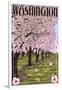 Washington - Cherry Blossoms-Lantern Press-Framed Art Print