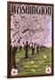 Washington - Cherry Blossoms-Lantern Press-Framed Art Print