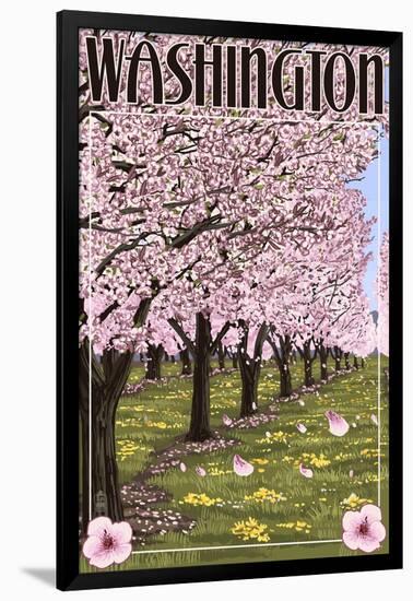 Washington - Cherry Blossoms-Lantern Press-Framed Art Print