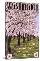 Washington - Cherry Blossoms-Lantern Press-Stretched Canvas