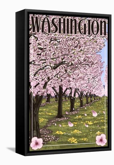 Washington - Cherry Blossoms-Lantern Press-Framed Stretched Canvas