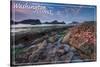 Washington Coast - Tidepool-Lantern Press-Stretched Canvas