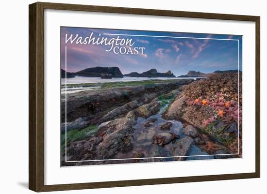 Washington Coast - Tidepool-Lantern Press-Framed Art Print