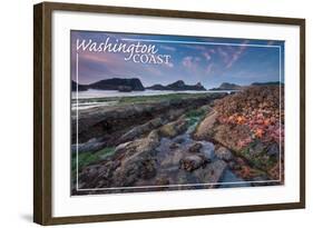Washington Coast - Tidepool-Lantern Press-Framed Art Print