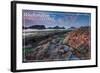 Washington Coast - Tidepool-Lantern Press-Framed Art Print