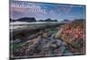 Washington Coast - Tidepool-Lantern Press-Mounted Art Print