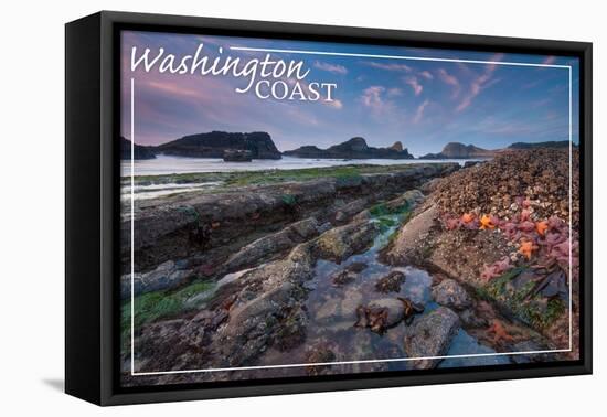 Washington Coast - Tidepool-Lantern Press-Framed Stretched Canvas